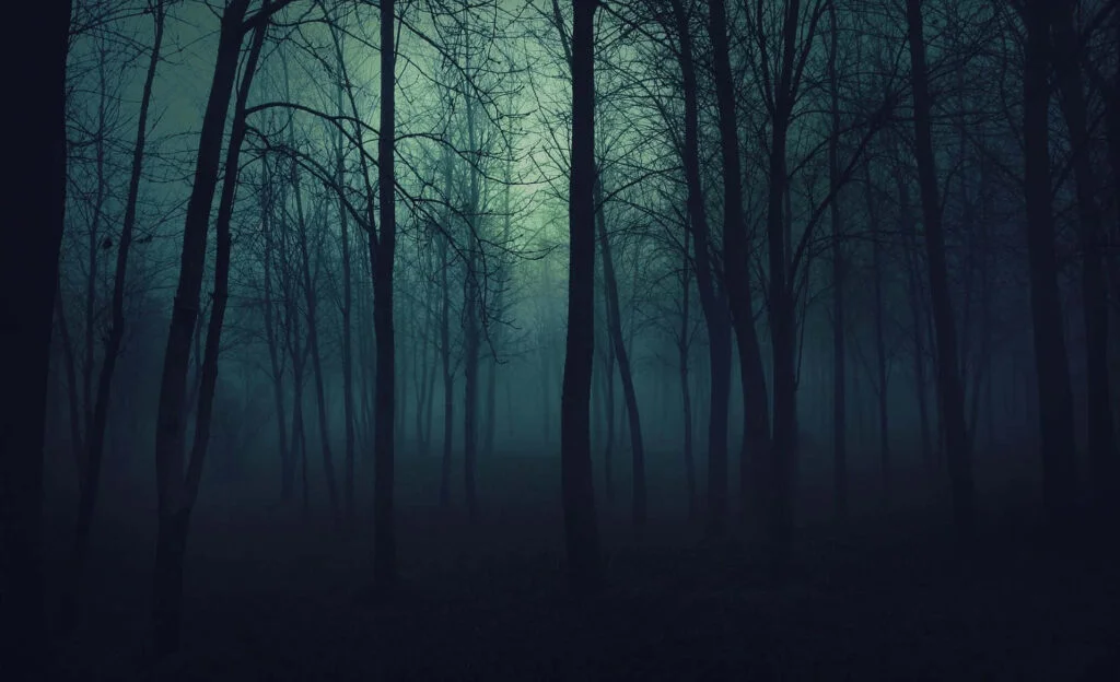 A Teoria da Floresta Negra: O Silêncio dos Extraterrestres e o Perigo Cósmico
